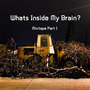 What's Inside My Brain?(Mixtape Part I)