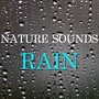 Nature Sounds Rain