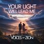 Your Light Will Lead Me