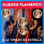 A la Virgen de Estrella