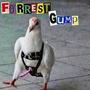 Forrest Gump (feat. LKO, Nido & Flawlezz) [Explicit]