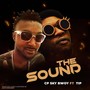 The Sound (Explicit)