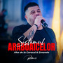 Sistemul Araboaicelor (Remix)