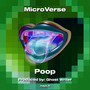 MicroVerse