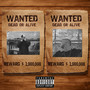 Wanted (Explicit)