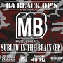 Sublow In the Brain - EP