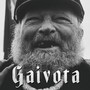 Capitão Gaivota