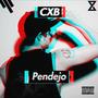 Pendejo (Pendejo) [Explicit]