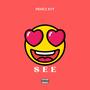 S.E.E (Explicit)