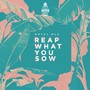 Reap What You Sow (feat. Royal Blu)