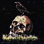 NO LOVE (Explicit)