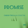 Promise (Extended Version) [Explicit]