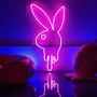 Playboy Mansion (Explicit)