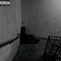 Mentally Weak (Explicit)