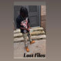 Lost files (Explicit)