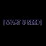 What u Need