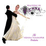 Waltzing In Vienna Volume 1