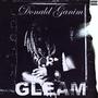 GLEAM (Explicit)