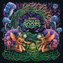 Tangled Roots