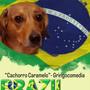 Cachorro Caramelo (GringoComedia)