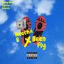 Been Fly (Explicit)