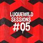 Luquewild Sessions #05 (feat. Aqario)