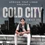 Cold City (Explicit)