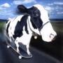 cash cow (Explicit)