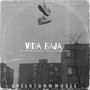 Vida Baja