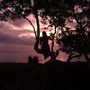 Sunny Disposition (Explicit)