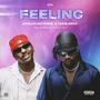 Feeling (feat. Dhallas Matsinhe & Ian Blanco)