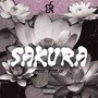 Sakura (Explicit)