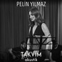 Takvim (Akustik)