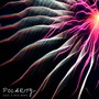 Polarity