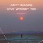 Can't Imagine Love Without You