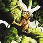 haricots