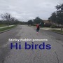 Hi Birds