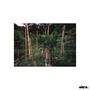 New England Weather (Explicit)