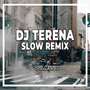 DJ Terena Slow Remix