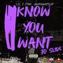 I Know You Wana Slide (feat. Jayvthahottest) [Explicit]