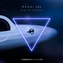 Digital Vortex