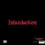 Introduction (Explicit)