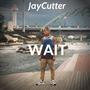 Wait (feat. Cashin Beats) [Explicit]