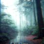 The Colours and Rains EP
