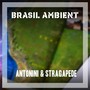 Brasil Ambient