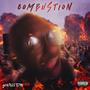 COMBUSTION (Explicit)