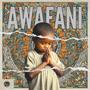 Amalanga Awafani (feat. Mna)