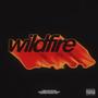 wildfire (feat. Swxrd) [Explicit]