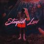 Stupid Luv (Explicit)