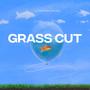 Grass Cut